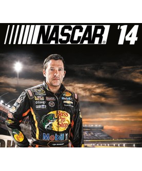 NASCAR 14 Steam Key GLOBAL